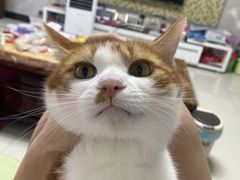 -瑞鹏宠物医院·微创内窥镜·骨外科·牙科(翠竹分院)