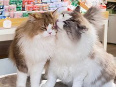 -听TA说宠咖·宠物生活馆(天韵水岸店)