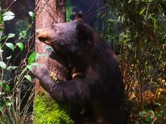 -陕西自然博物馆