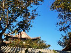 -天津妈祖文化园