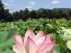 -韶山毛泽东同志故居