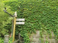 -丰都鬼城名山景区