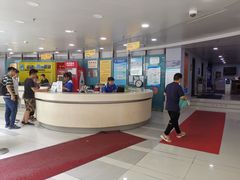 -小海豚国际游泳培训中心(浦东塘桥店)