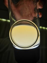 -明潪Selfology升维护理中心