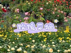 -栖露营camping·天幕烧烤·团建拓展·采摘营地