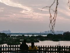 -芒洲湿地公园