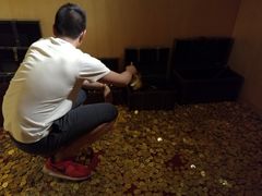 -秃鹫湾·推理大师沉浸式实景演绎推理剧场