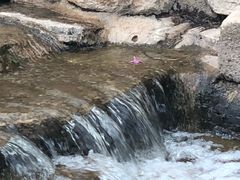 -羊亭河湿地公园