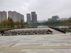 -洋湖国家湿地公园