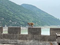 -白帝城·瞿塘峡景区