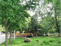 -长白岛森林公园