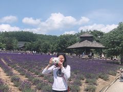 -富田农场