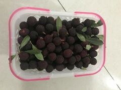 -西山樟坞健康果园枇杷杨梅采摘