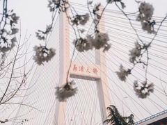 -南浦大桥长途旅游客运站