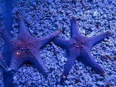 -波塞冬旅游度假区