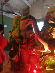 -恐龙探索乐园(磁器口店)