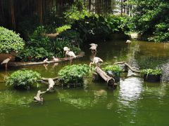 -九龙公园