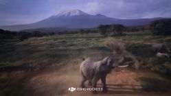 -翱翔飞越地平线