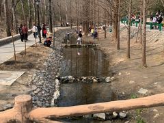 -白水寺森林公园