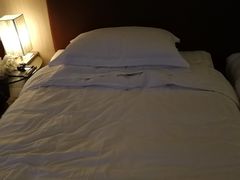 -成都凯宾斯基饭店