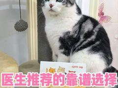 -申普宠物医院(总院)