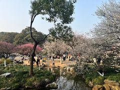 -杭州植物园