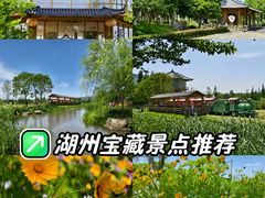 -长田漾湿地公园