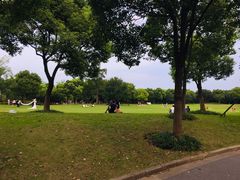 -吴淞炮台湾湿地森林公园烧烤区