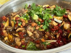 -食神又名厕所兔