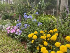 -深圳国际园林花卉博览园