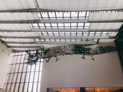 -上海宝龙美术馆