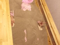 -梵舍·沙浴养生SPA