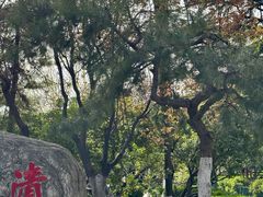 -莲湖公园