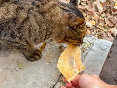 -终南山南五台景区
