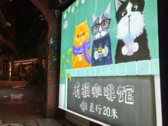 -有猫主题·治愈系猫咖(曾厝垵店)