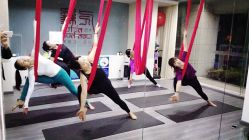 -榕树上·瑜伽普拉提