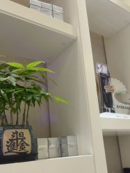 -欧扬医疗美容