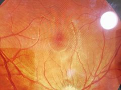 -宝岛眼镜(嘉兴桐乡时代广场店)