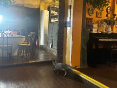 -猫岛主趣味餐厅(鼓浪屿店)