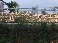-芸鲜季·云南野生菌餐厅· 云南风物味研社(闵行店)