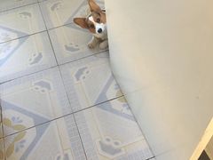 -梅园食堂