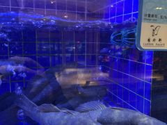 -粤珍轩.创始店.始于2001(含光门店)