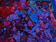 -路边边.炒菜烧烤.音乐餐厅(良乡长虹店)