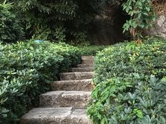 -炮台山公园