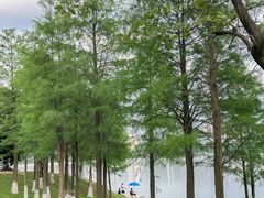 -松山湖风景区松湖烟雨