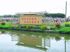 -南汇桃花村