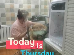 -青奢宠物·青奢猫舍