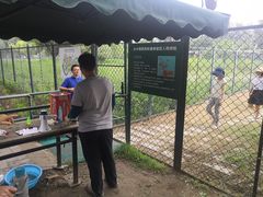 -北京麋鹿生态实验中心
