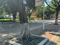 -南沙天后宫景区