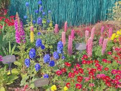 -国家植物园南园